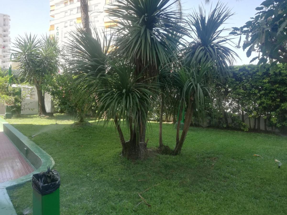 Cancun III Solo Familias Serviplaya Гандия Екстериор снимка